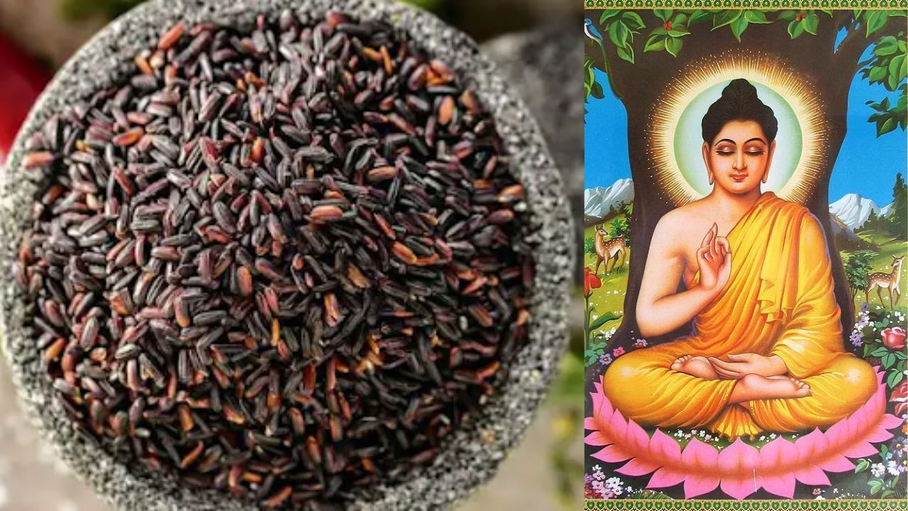 Buddha’s Recognized Rice: What Sets It Apart?