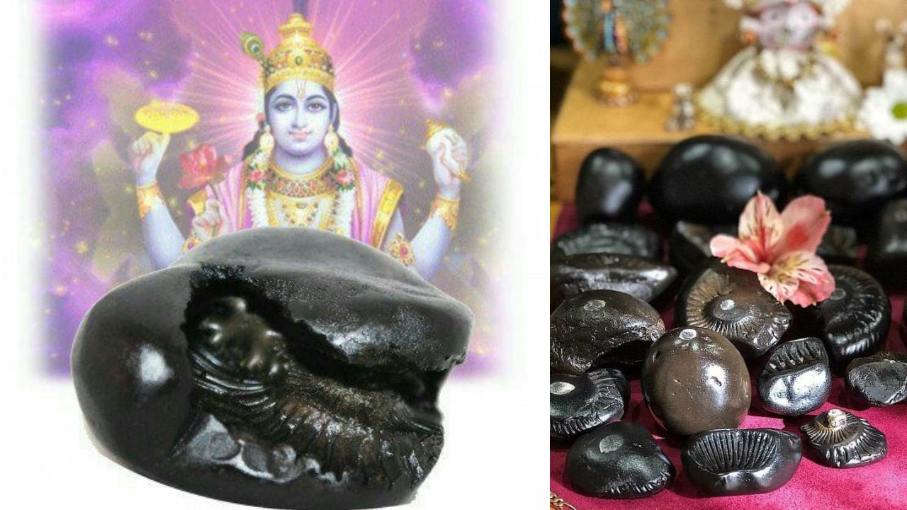 The Divine Secret of Salagrama: Where Lord Vishnu Himself Resides!
