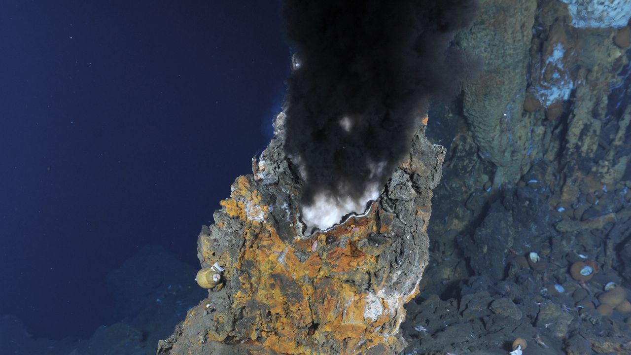 Burning Flames in the Ocean: The Amazing World of Black Smokers