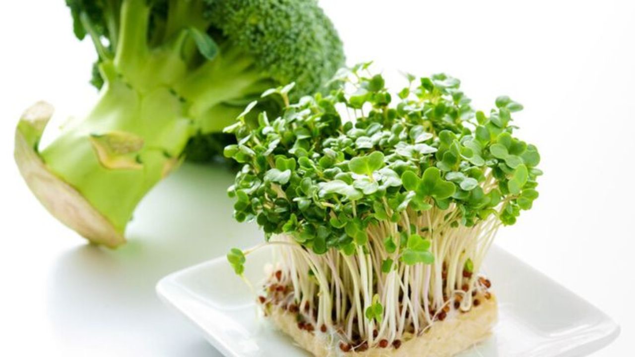 Forget Detox Drinks! Broccoli Sprouts Are the Real Super Detox Food
