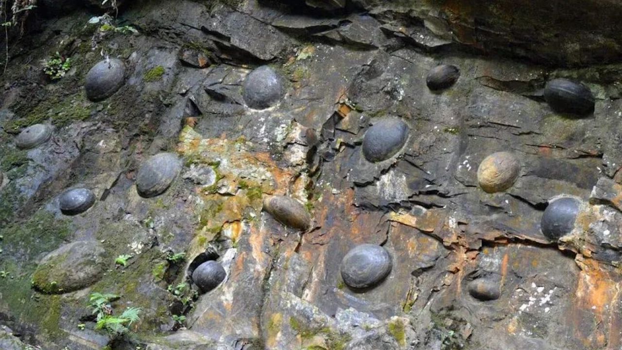 The Mysterious Egg-Laying Mountain in China – A Miracle That Happens Once Every 30 Years!