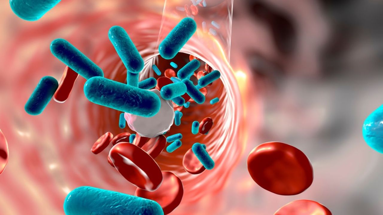 Blood Infection Warning: Symptoms You Should Never Ignore