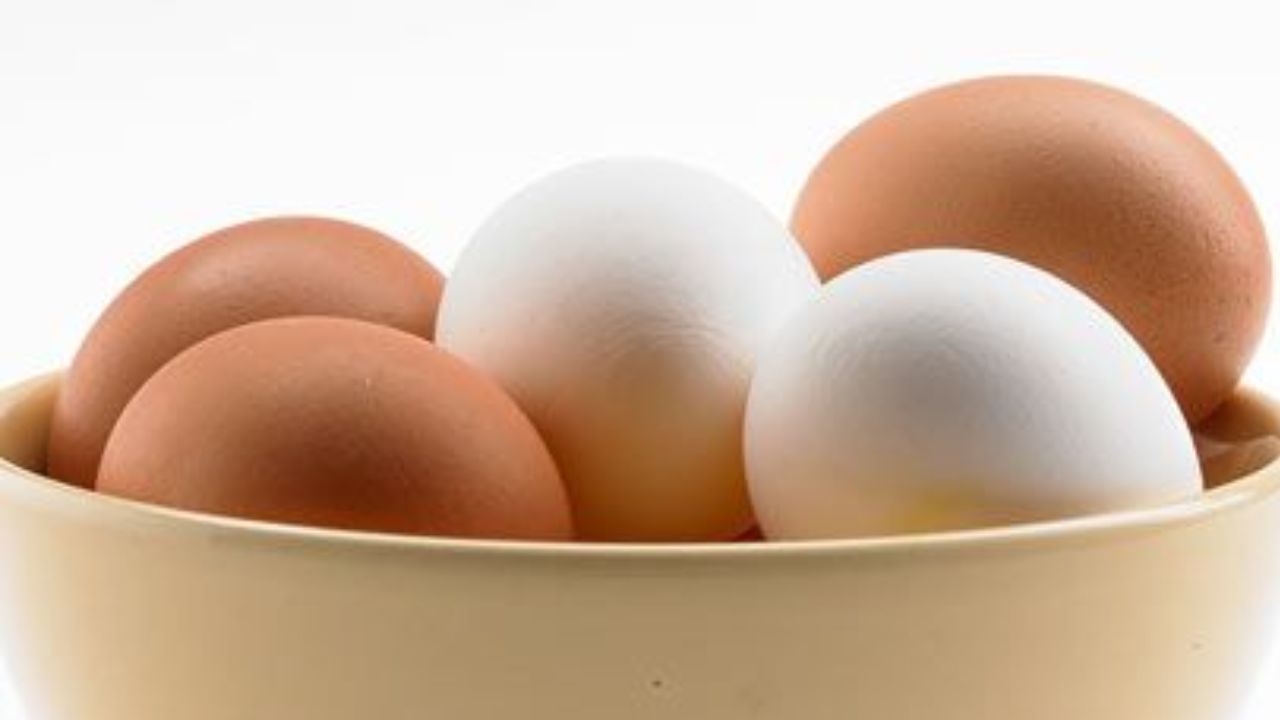 How Safe Is It to Eat Eggs Daily? Facts You Must Know