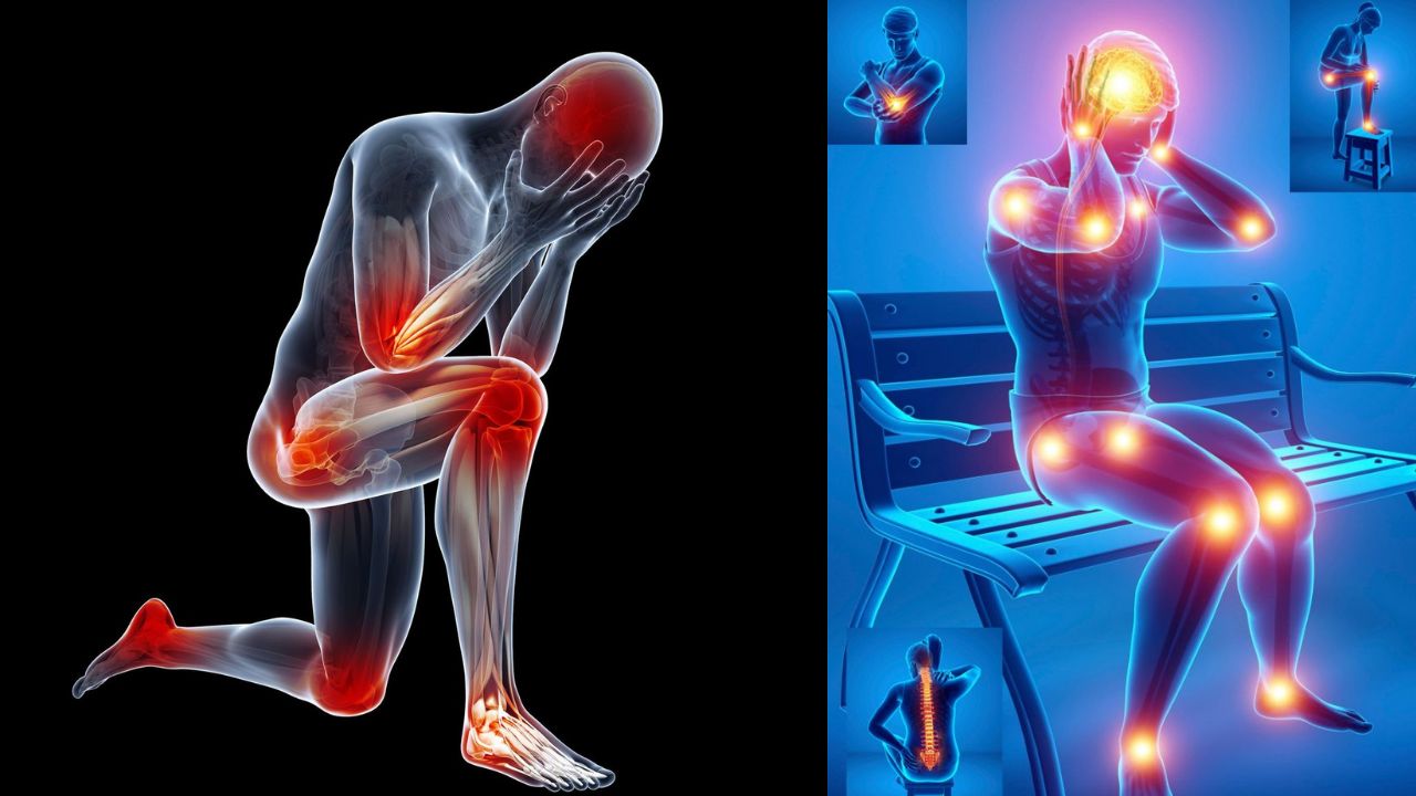 How to Identify Chronic Inflammation and Proven Ways to Control It