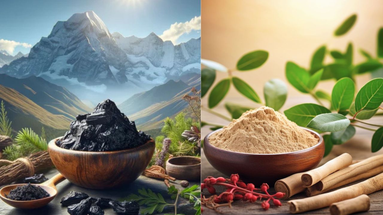 Shilajit and Ashwagandha Compared – Key Differences & Health Benefits