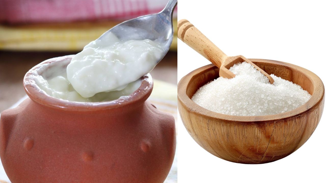 Curd with Sugar: Surprising Spiritual and Health Benefits
