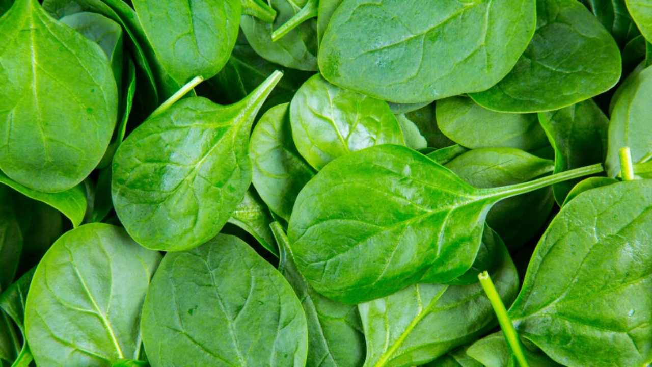 This Simple Green Food Offers 5 Incredible Health Benefits