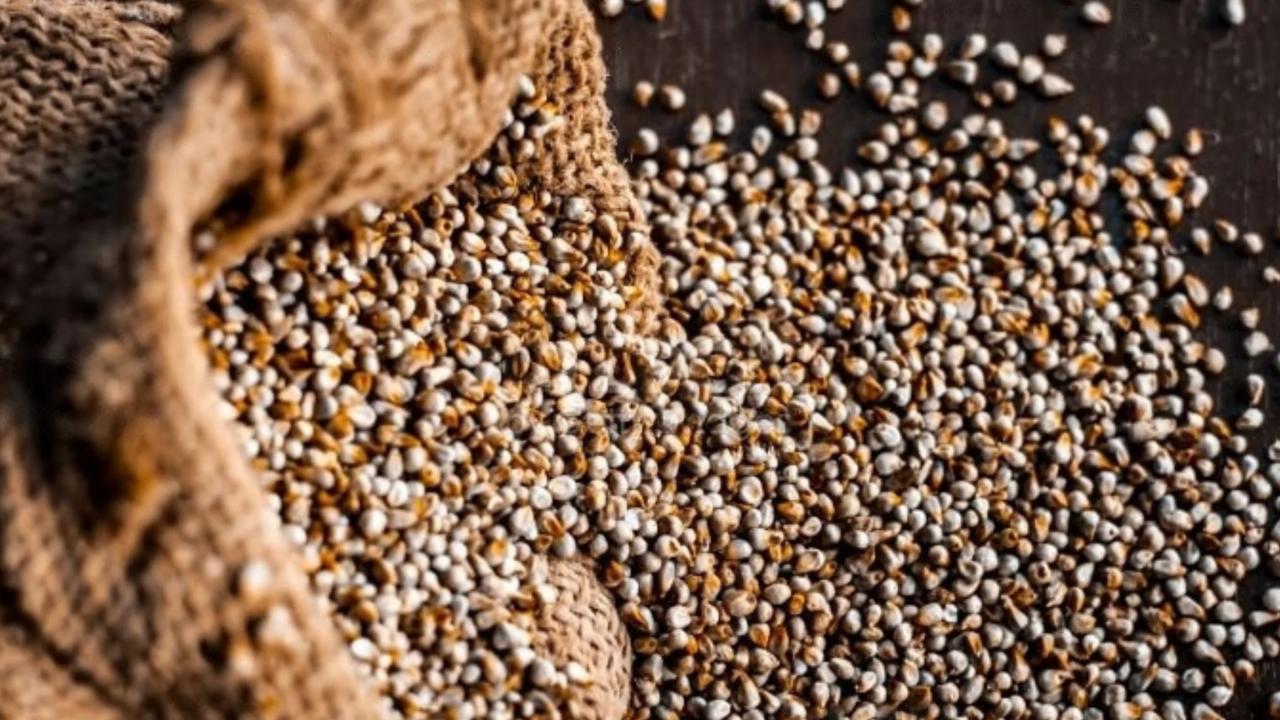 Bajra Millet Benefits in Winter: Ayurvedic Secrets for Strong Health
