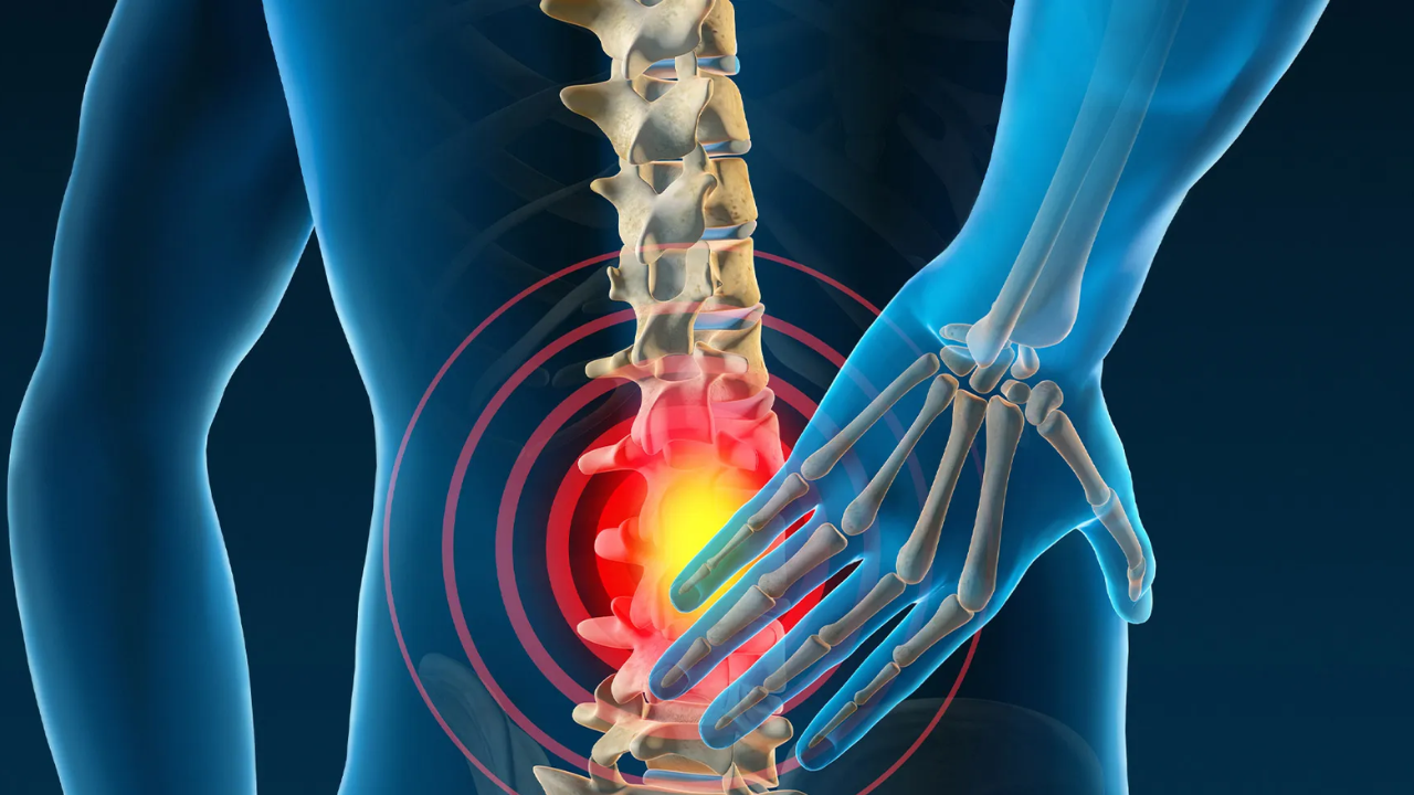 Back Pain vs Kidney Pain: How to Tell the Difference