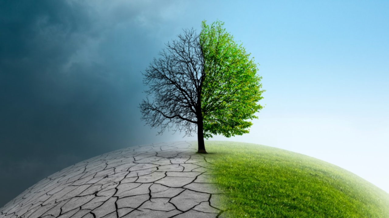 Unprecedented Natural Events in 2025: Why Scientists Are Alarmed