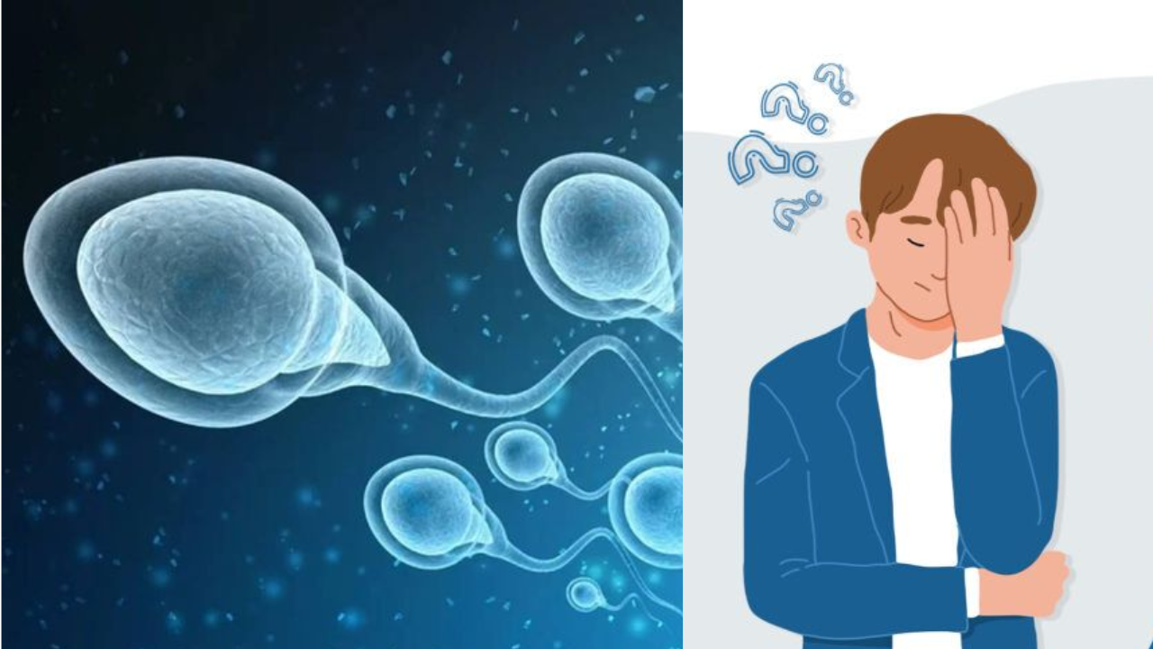 Does Heat and Pollution Reduce Sperm Count? A New Threat to Humanity