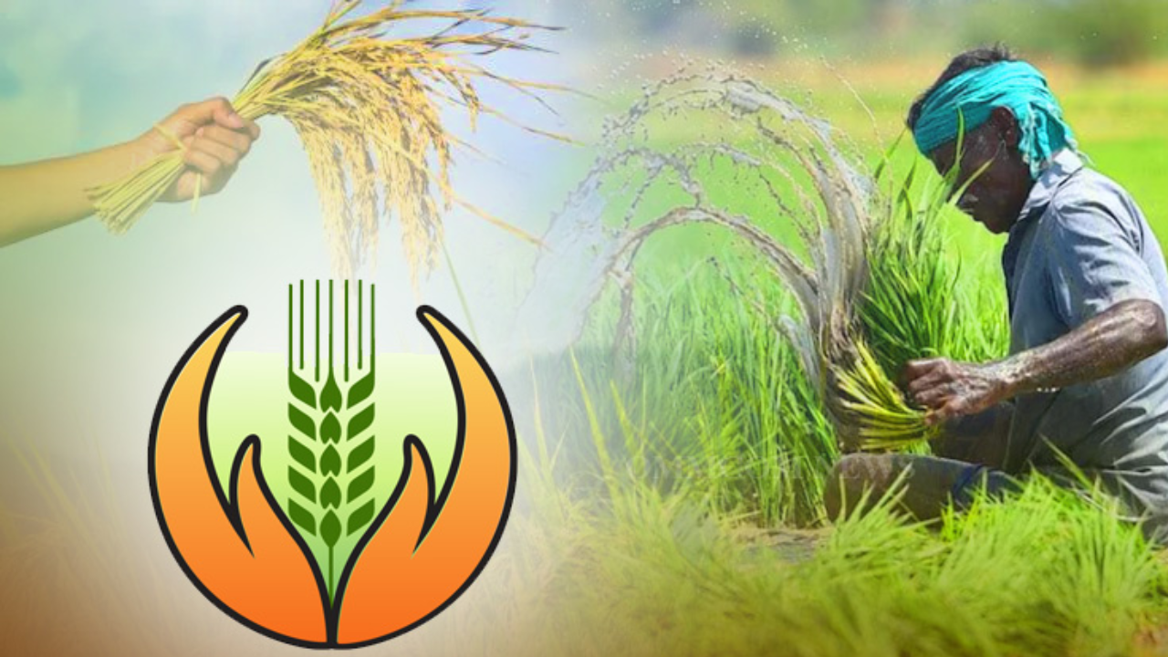 PMFBY 2025: Super Crop Insurance Protection for Telugu Farmers Explained