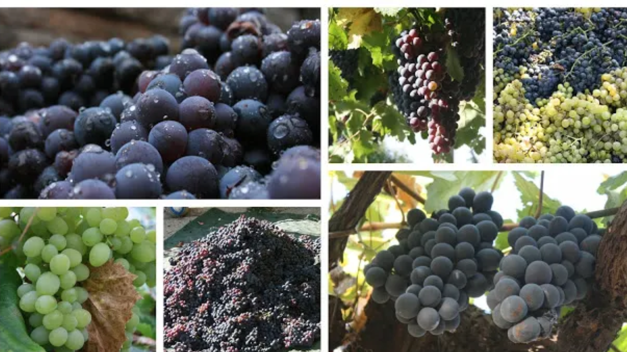 New Year Superstitions