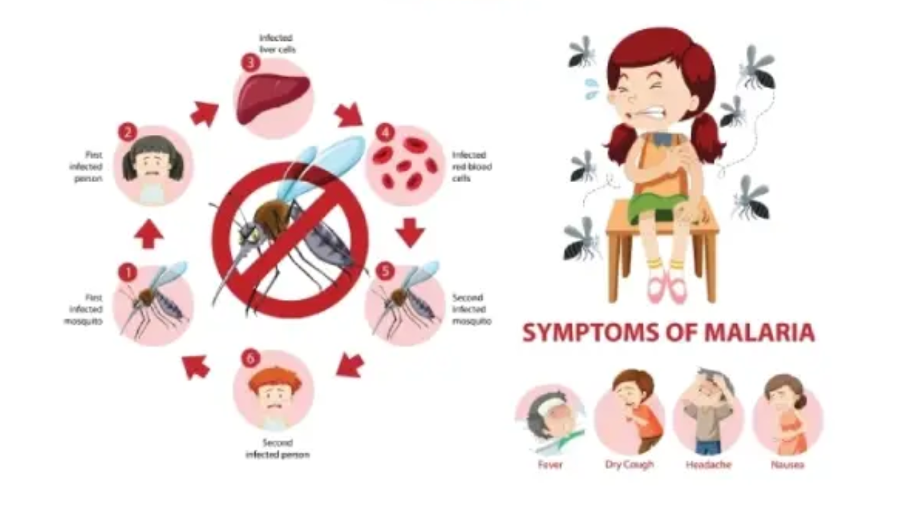 Malaria Risk Rising Again: Shocking Latest WHO Report