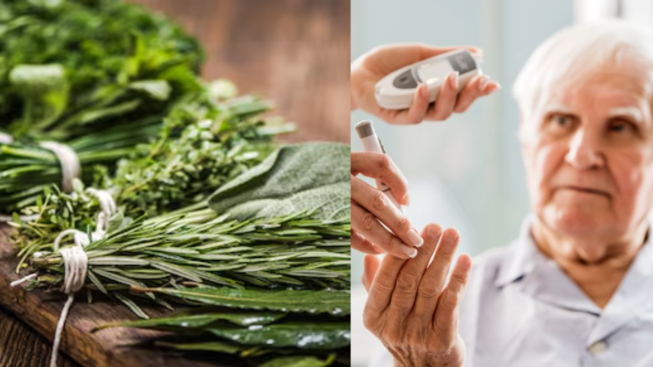 Eat These Two Leaves Daily: Amazing Benefits for Diabetes Control