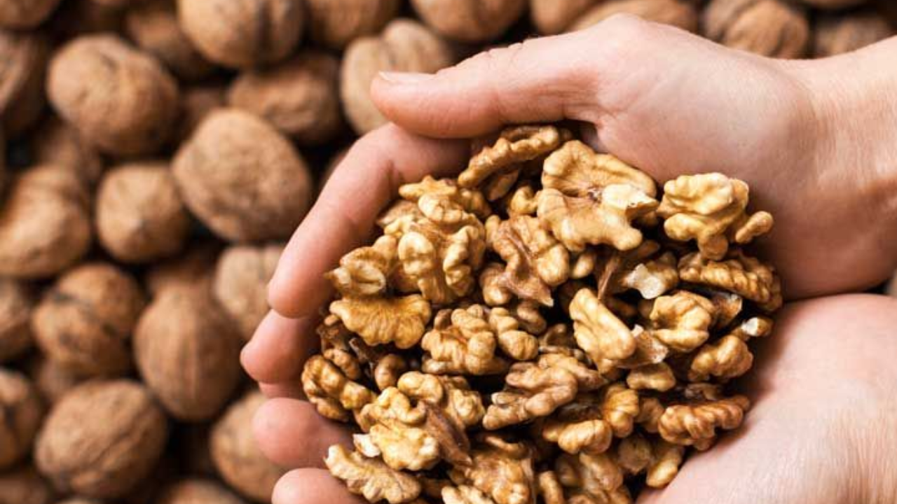 Daily Walnut Habit: Surprising Wellness Boosts for Your Body