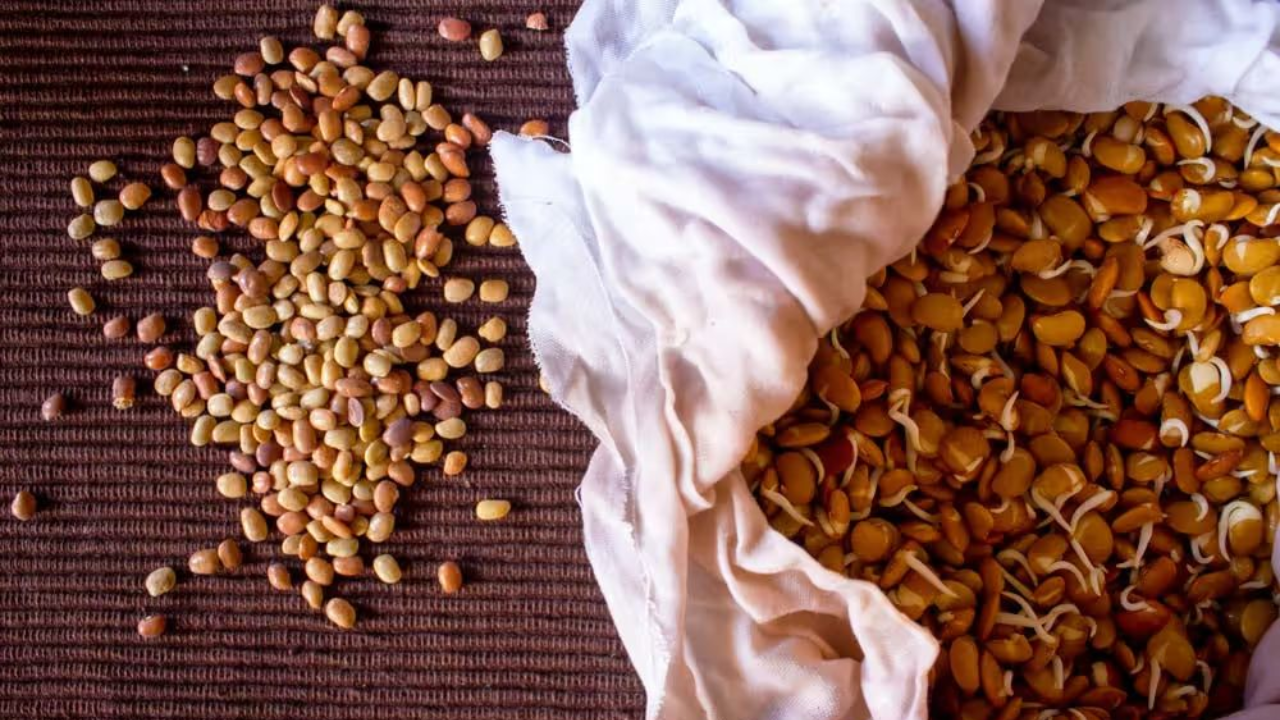 Eat Horse Gram for Amazing Benefits – Weight Loss, Strength & More!