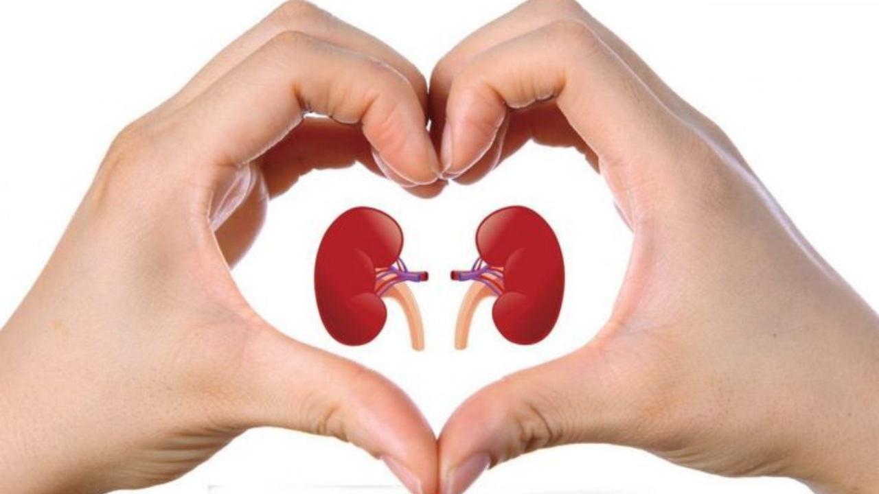 Natural Kidney Healing: Ayurvedic Tips to Improve Kidney Health