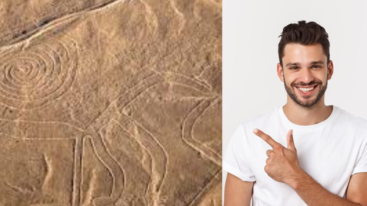 Mysterious Lines in the Desert: Result of Underground Changes or Hidden Signals?