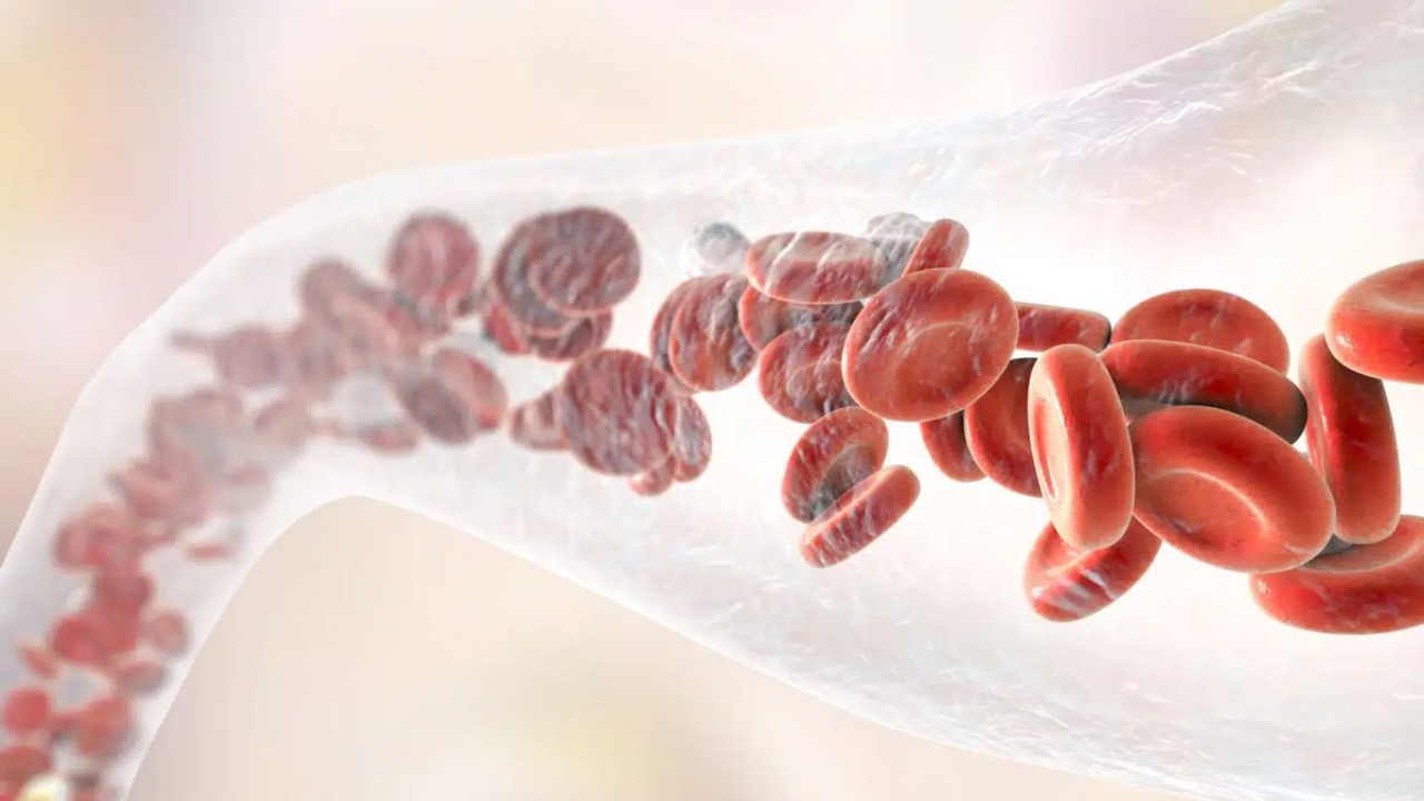 Thick Blood Is a Big Risk! Foods That Naturally Thin the Blood