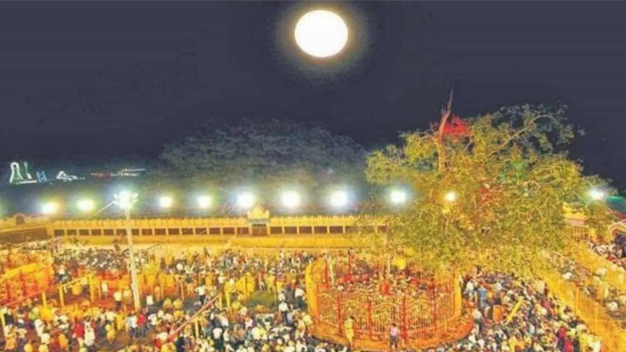 Medaram Maha Jatara 2026: Grand Tribal Festival