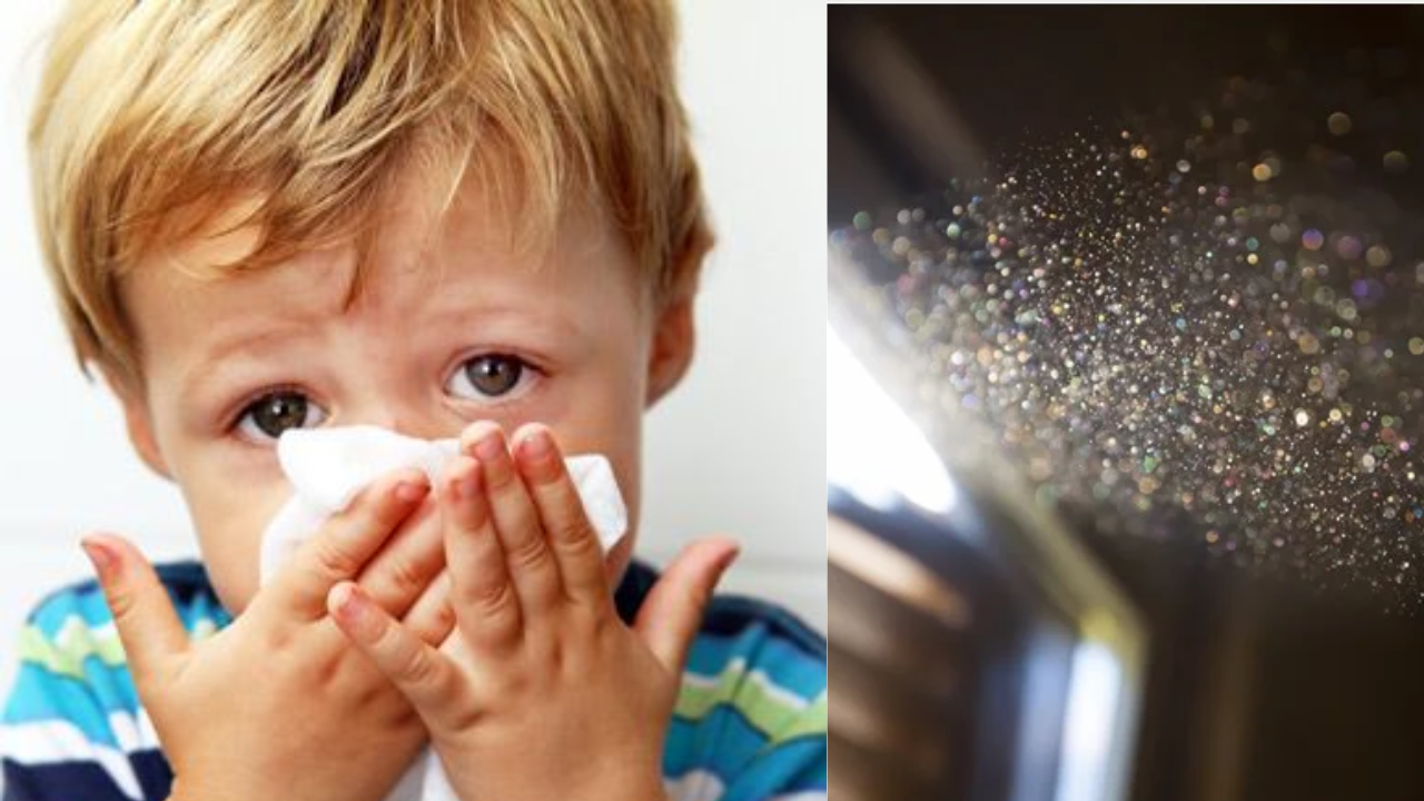 Winter Allergies in Children: Rising Risk Due to Indoor Dust and Fungal Exposure