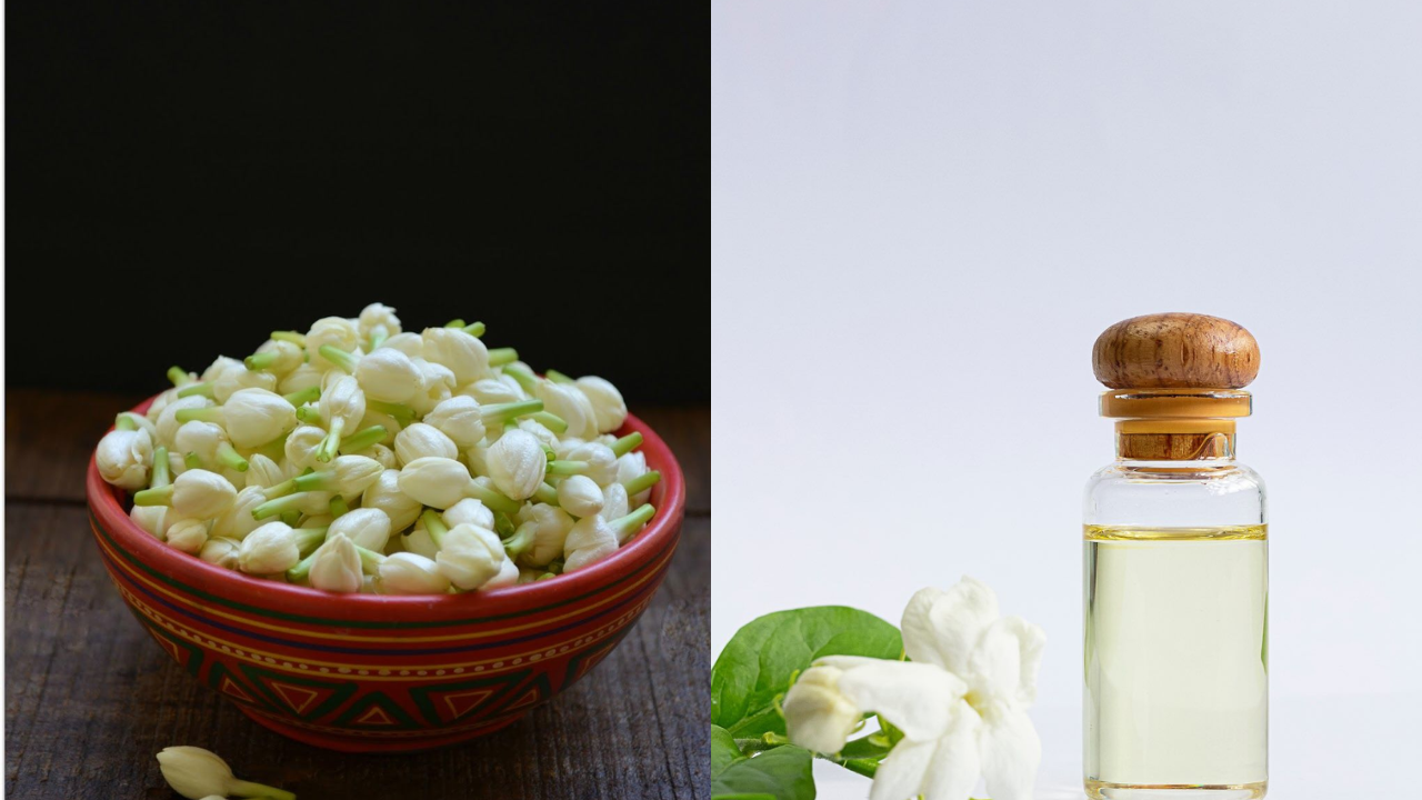 Jasmine Oil Uses and Health Benefits You Should Know
