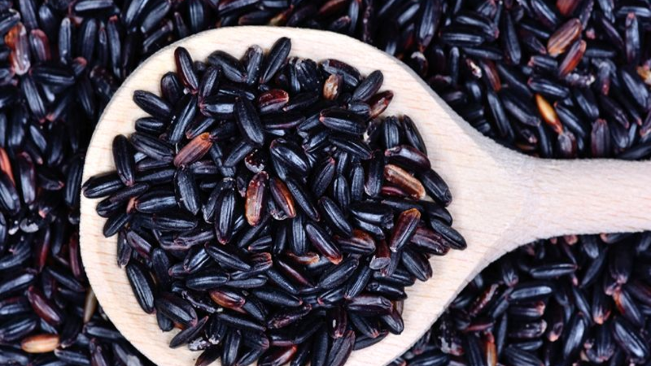 Why Black Rice Is Special: Health Benefits and the Story Behind Modi’s Appreciation