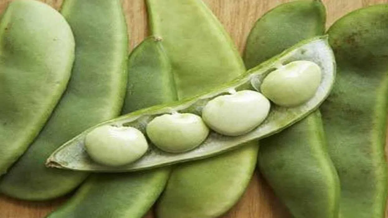 No Non-Veg Needed! Broad Beans Are a Powerful Protein Source