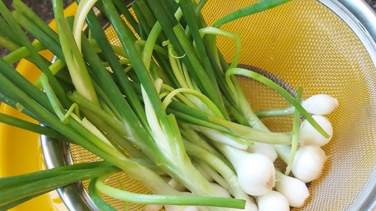 Small Vegetable, Big Benefits: The Health Secrets of Spring Onions