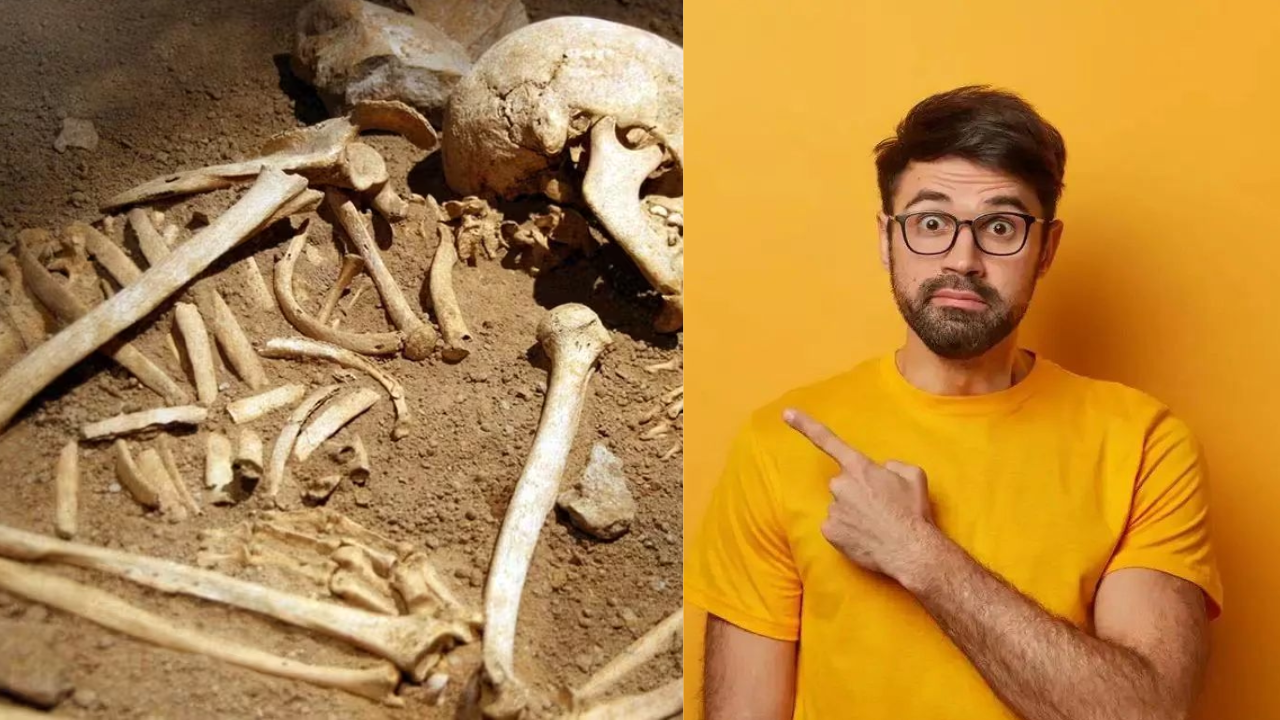 Vasai Tank of Secrets: 150 Bones and a Shocking Mystery