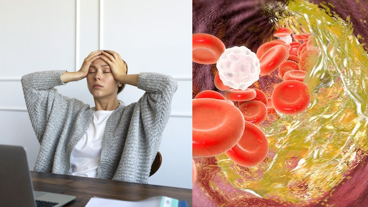 Does Stress Increase Cholesterol? How Yoga and Meditation Protect Your Heart