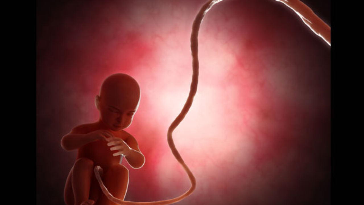Plastic Exposure in the Womb? Umbilical Cord Study Raises Alarming Concerns