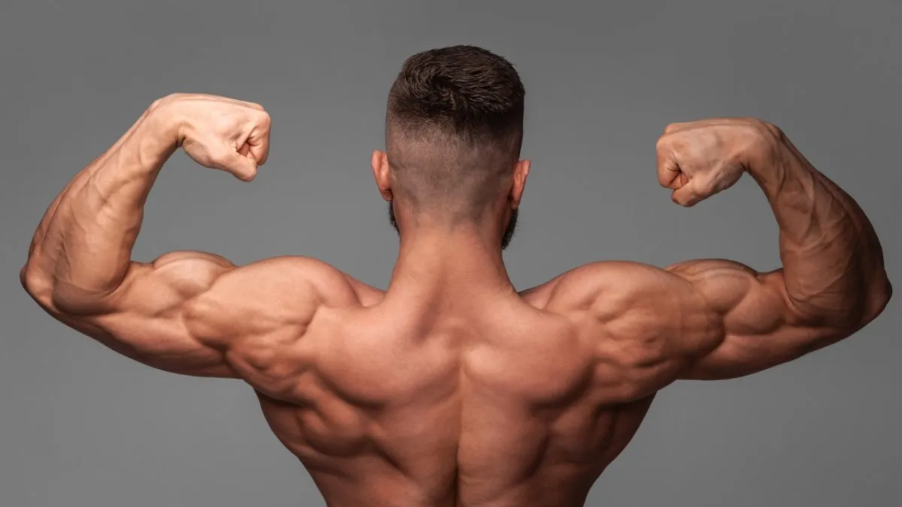 Muscle Loss in India: What Specialists Want You to Know