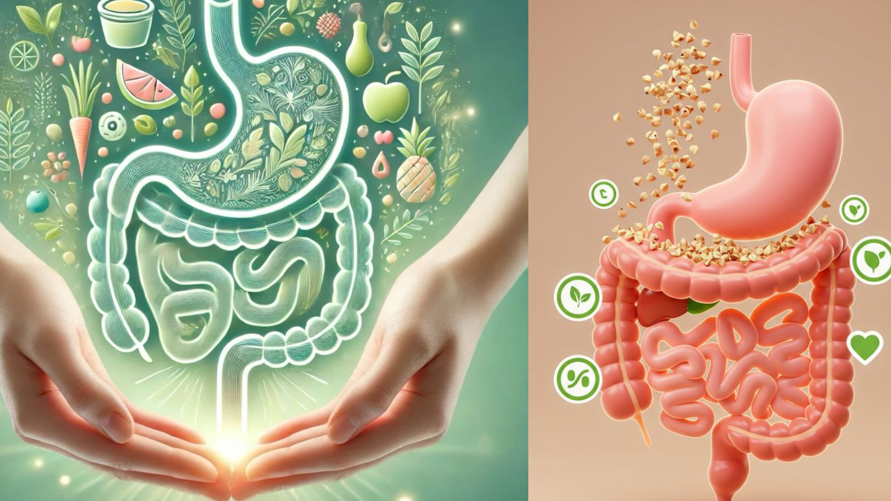 Your Gut, Your Strength: How It Impacts Digestion and Immunity