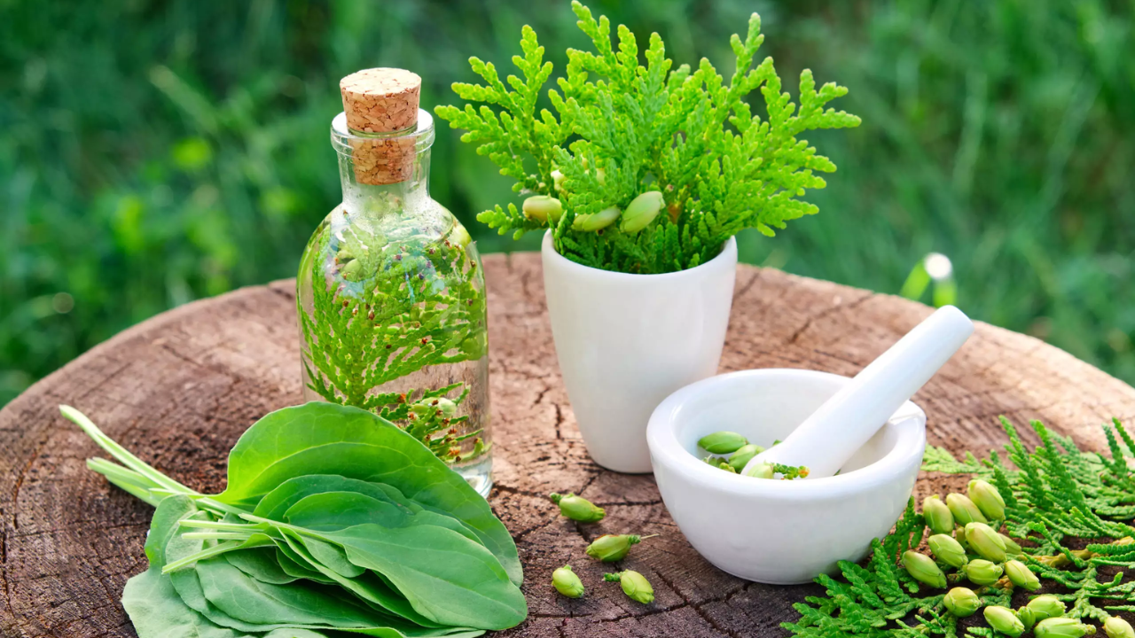 Sensational Study Opens New Path in Herbal Treatment Research