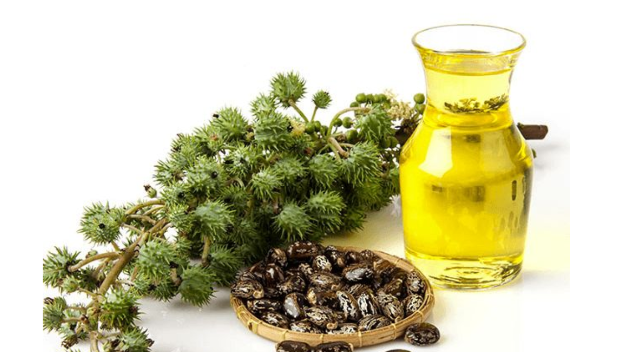 Is Castor Oil Good for Skin and Hair? Complete Guide with Warnings