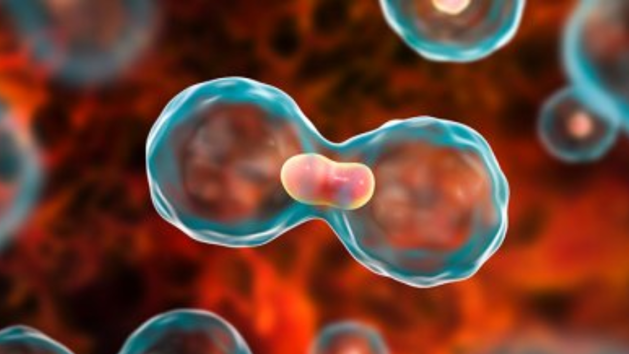 Beating Cancer in Just 4 Months: A New Hope in Medical Science