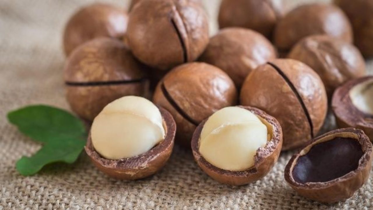 Macadamia Nuts: The Superfood Secret You Should Know