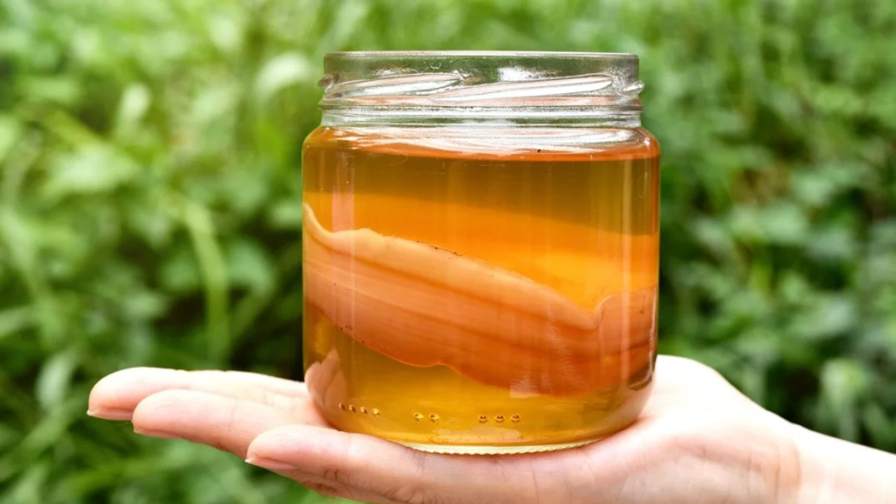Drink This Daily for a Body Boost! Kombucha Tea Benefits Will Surprise You