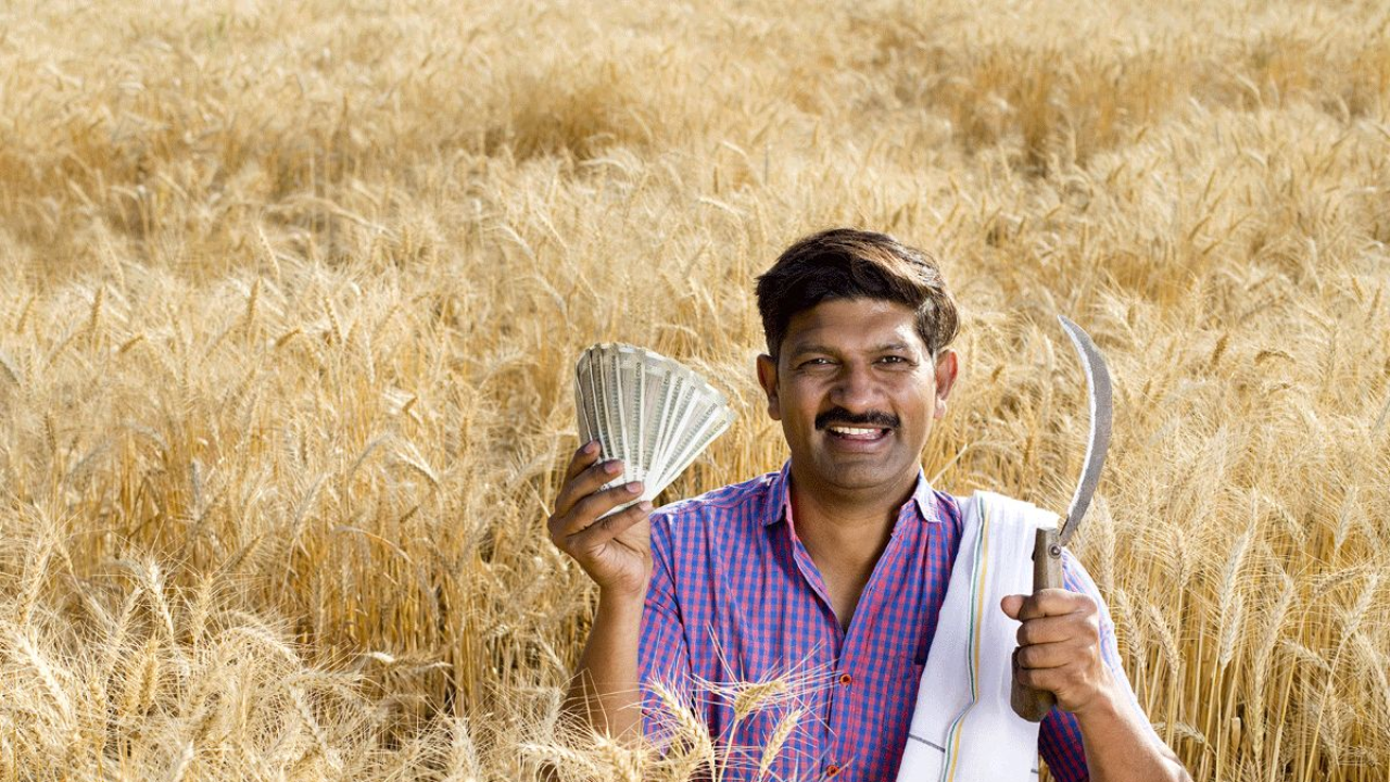 andhra pradesh starts rabi paddy procurement from april 4