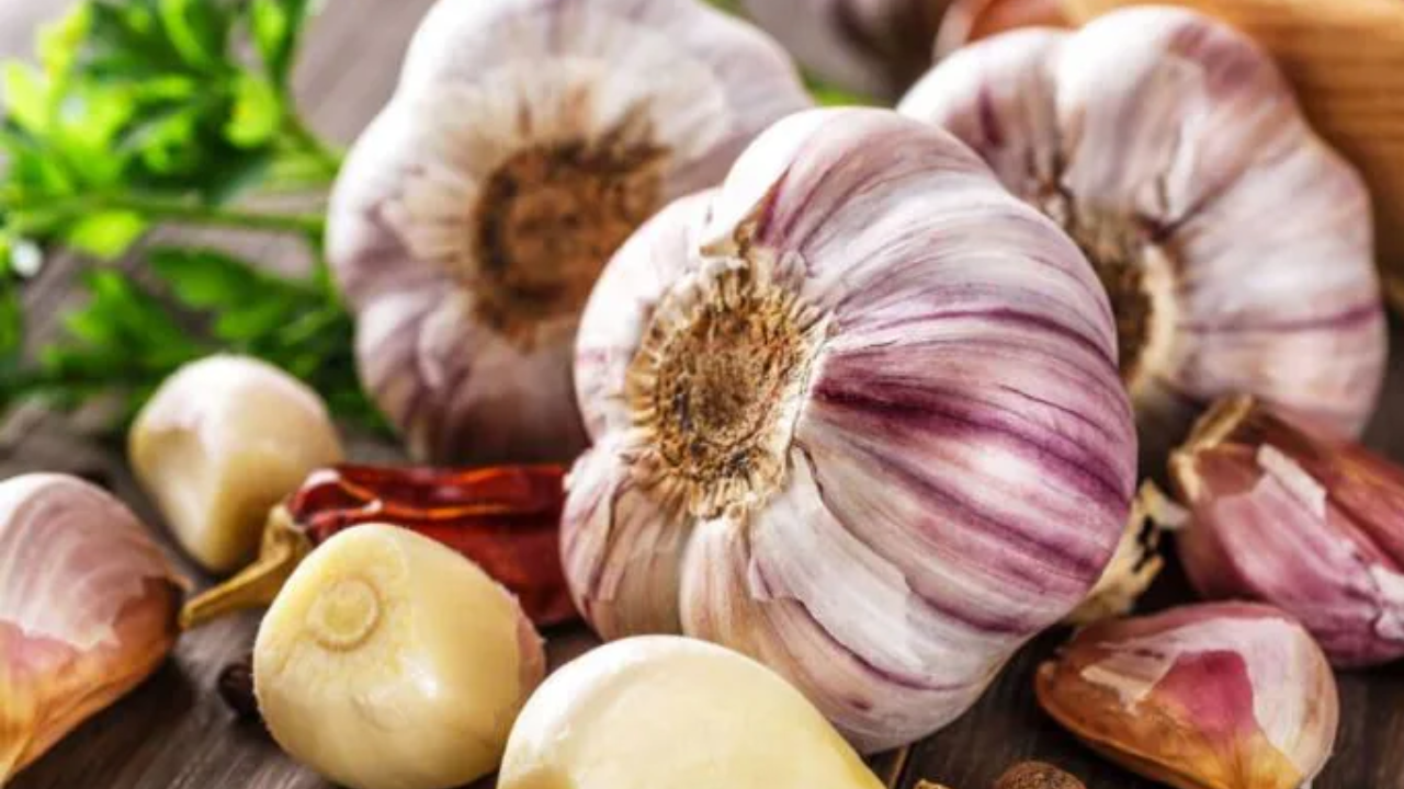 World’s Garlic Hub Revealed: Which City Holds the Title?