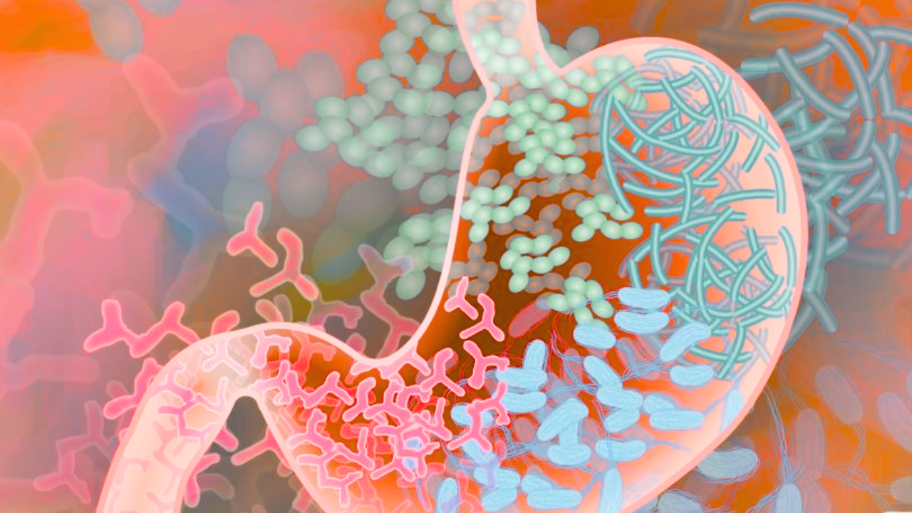 Boost Your Health with Good Gut Bacteria
