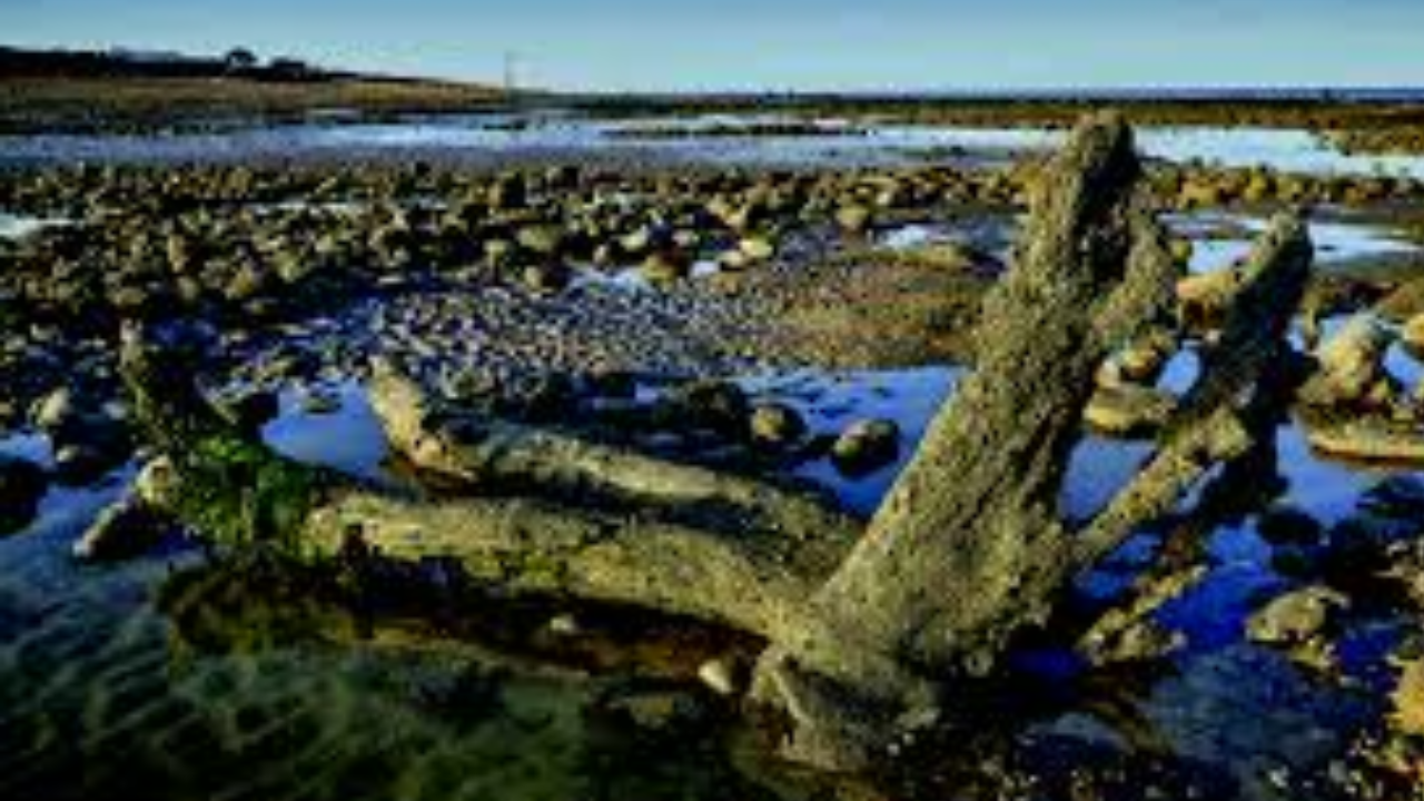 ‘Lost World’ Doggerland: Once a Thriving Land Full of Life