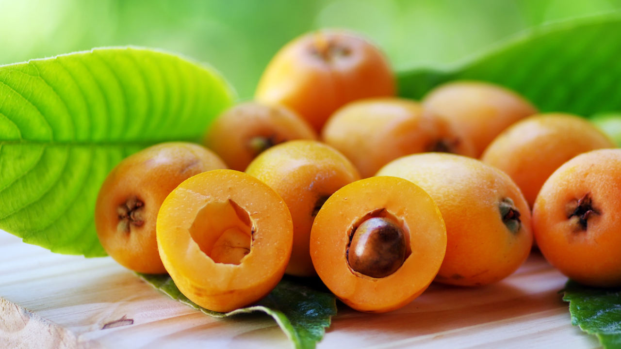 Loquat for Cholesterol: Surprising Health Benefits Explained