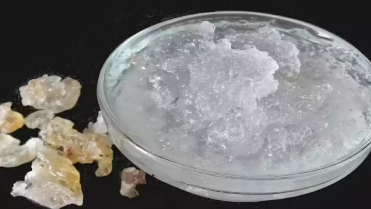 Gond Katira Magic: Health Benefits & Hidden Risks You Must Know