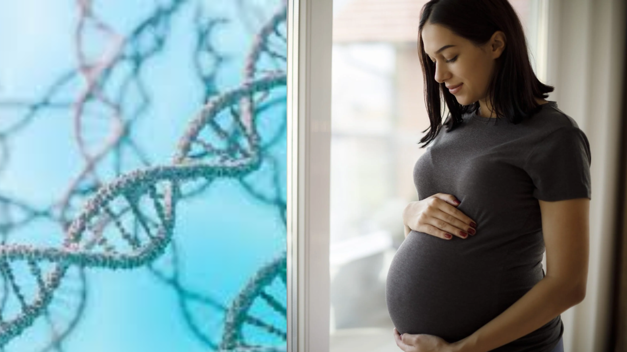 Beyond DNA: How Personality Begins in the Womb